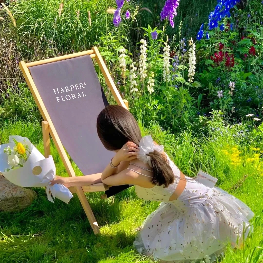 月球叛军：火之女