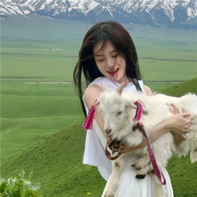 剑气长歌未央时